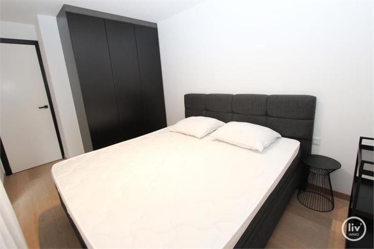 Appartement Spacieux A Knokke 외부 사진